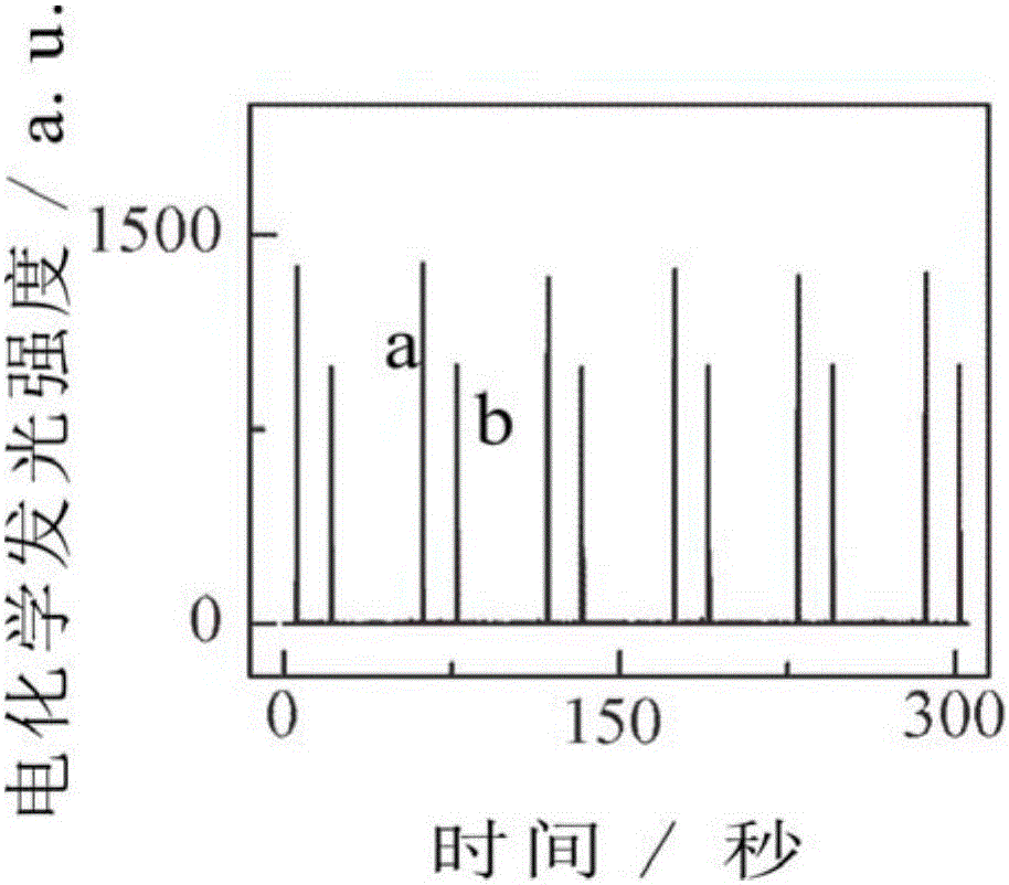 一種電位分辨雙腫瘤標(biāo)志物的電化學(xué)發(fā)光免疫傳感器的制備方法及其應(yīng)用與流程