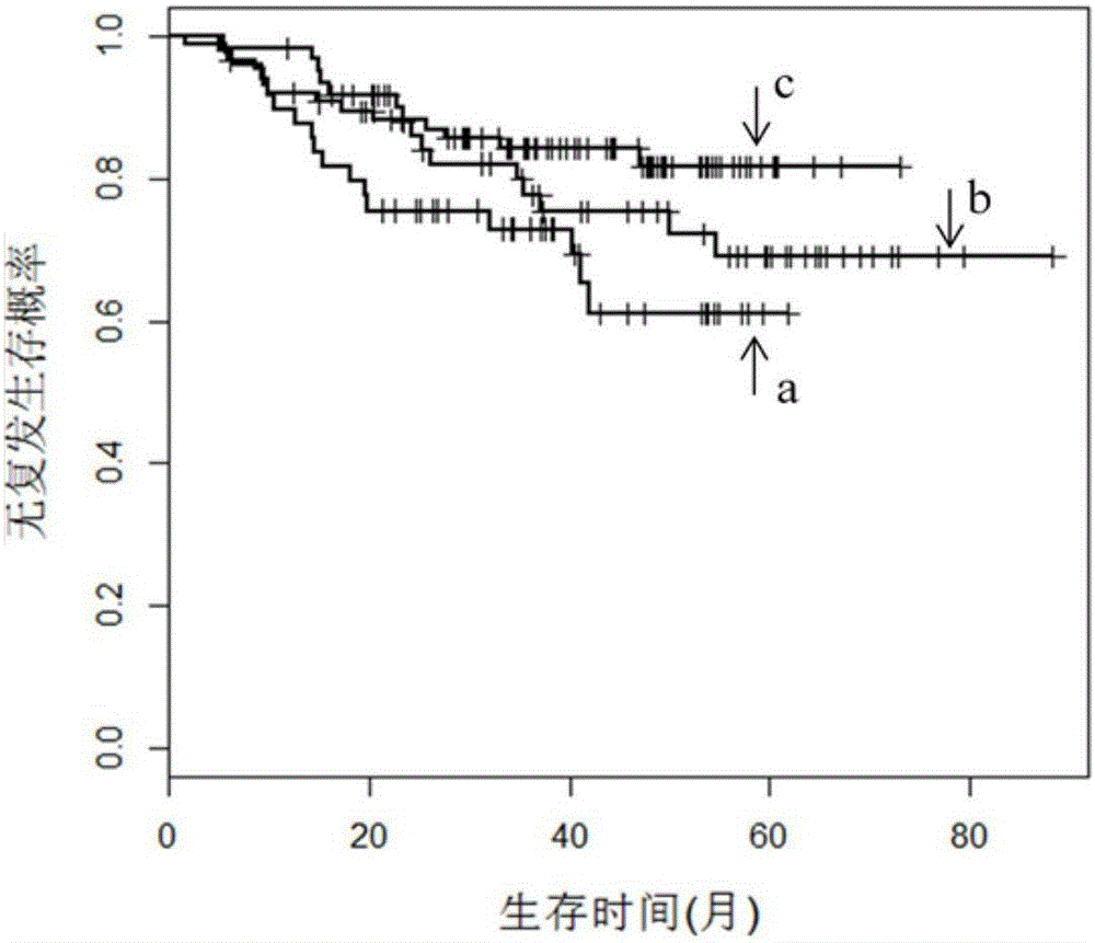 基于稀疏相似矩陣的譜聚類(lèi)算法識(shí)別癌癥分子亞型的方法與流程