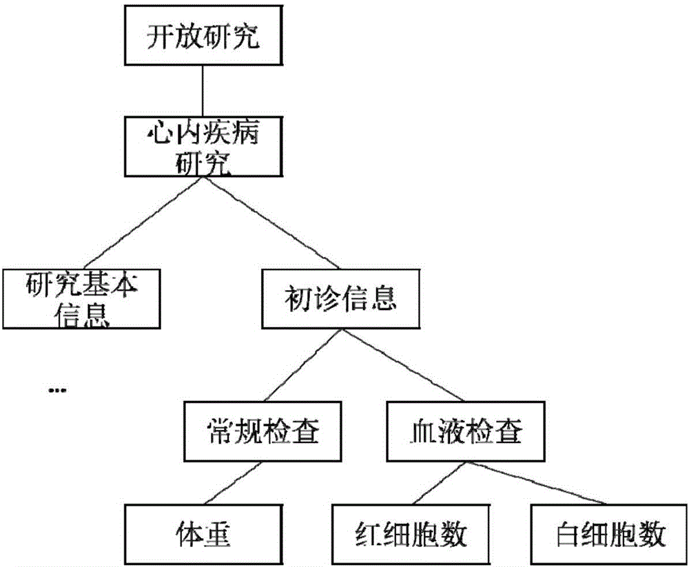 基于转化医学分析平台的临床数据集成技术数据导入方法与流程