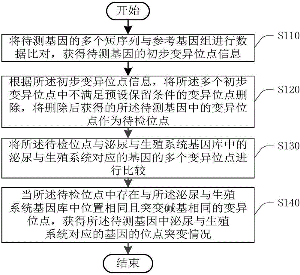 泌尿与生殖系统对应的基因的突变位点的获取方法及装置与流程