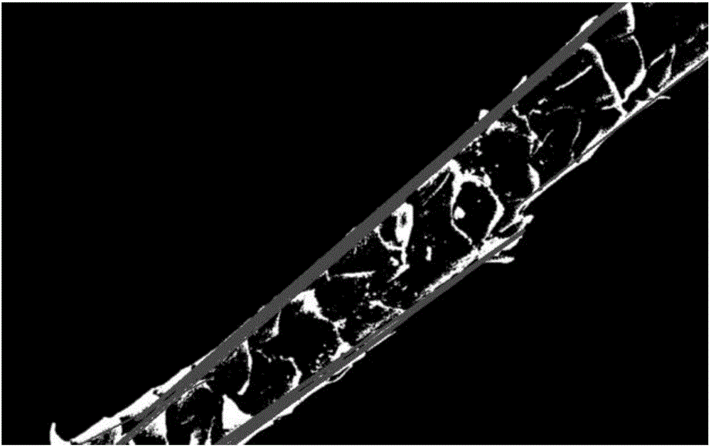 一种羊毛鳞片层的数字图像分级方法与流程