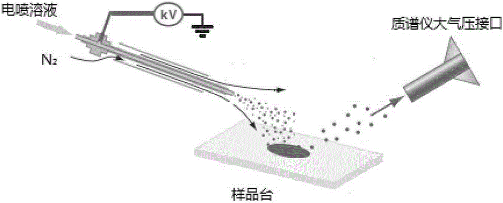 水體中微囊藻毒素的檢測(cè)方法與流程