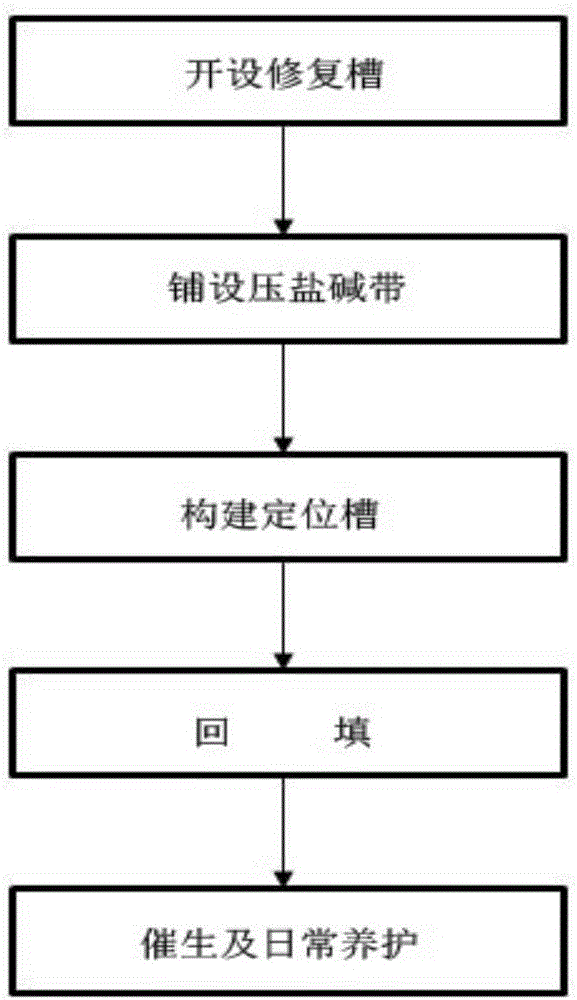 一种盐碱地植物修复结构的制作方法与工艺