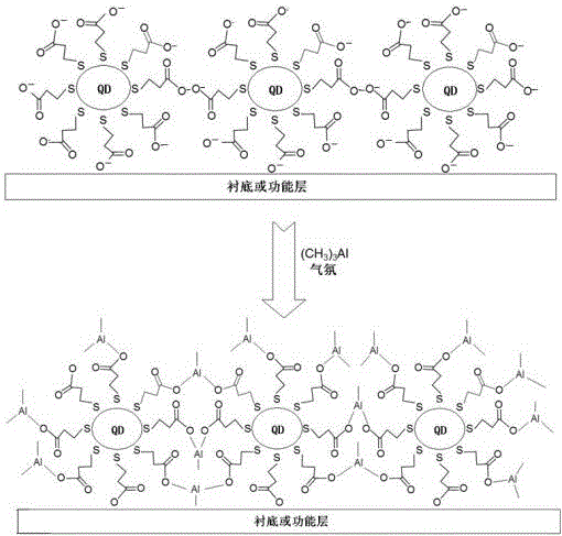 量子点发光层与器件及制备方法、发光模组与显示装置与流程