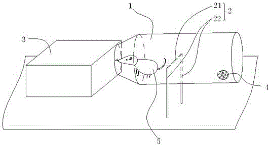 一种捕鼠装置的制作方法
