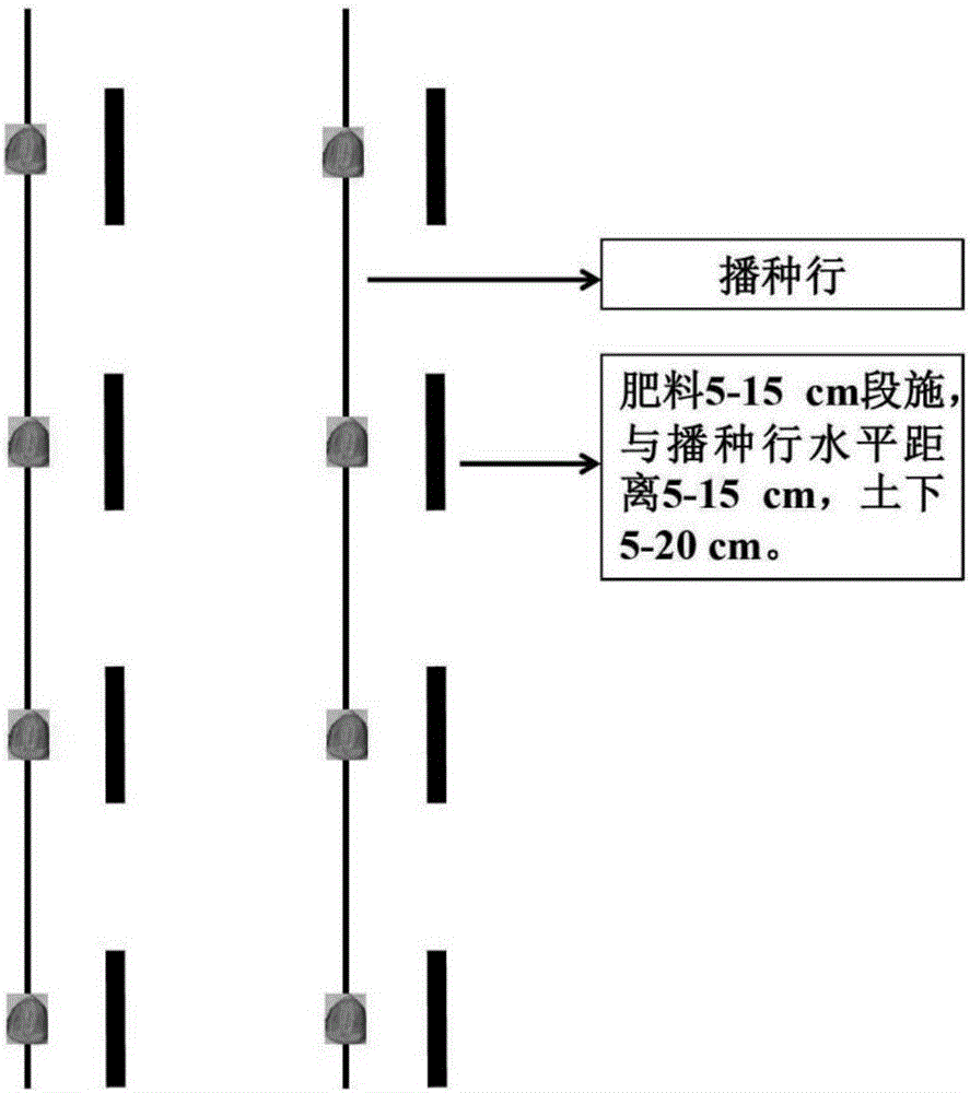 一種玉米根區(qū)一次施肥方法與流程