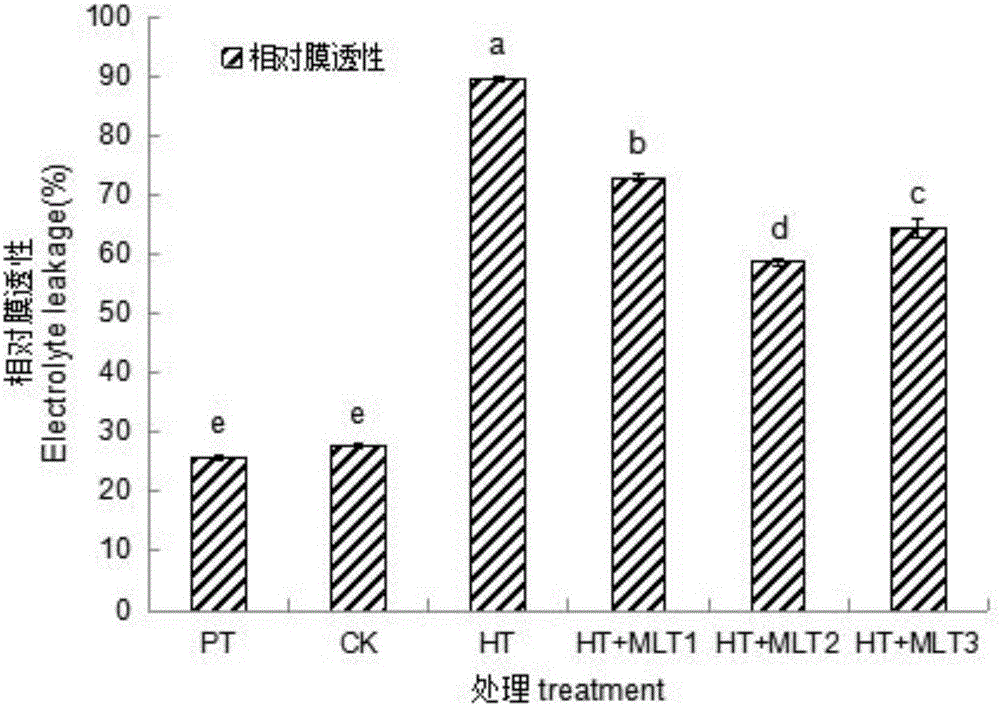 一種緩解獼猴桃果樹高溫脅迫的方法與流程