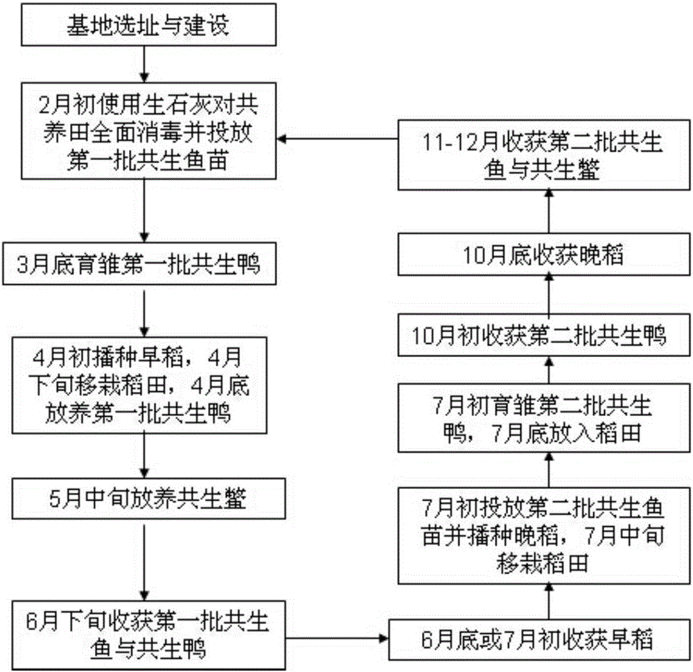 一种适于南方一年两造水田的稻‑鳖‑鱼‑鸭四位一体生态共生生产方法与流程
