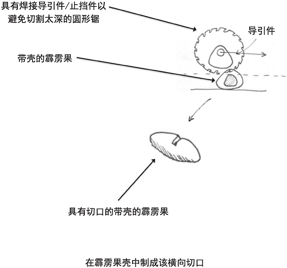 用于破裂霹靂果殼的工藝和工具的制作方法與工藝