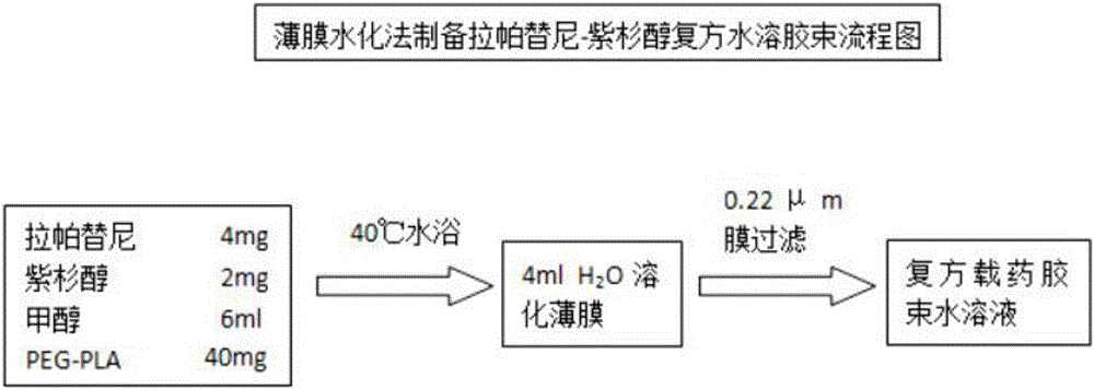 两亲性嵌段共聚物胶束复方载药递药系统及脑靶向水溶性胶束的制备方法与流程