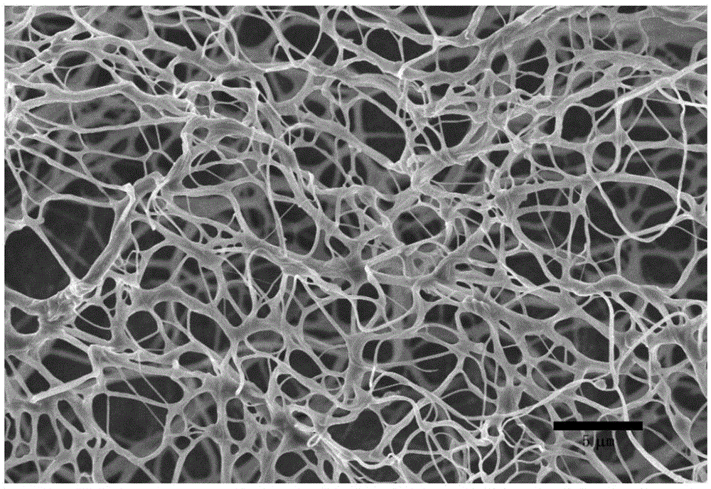 一种壳聚糖纳米纤维及其规模化电纺制备方法和应用与流程