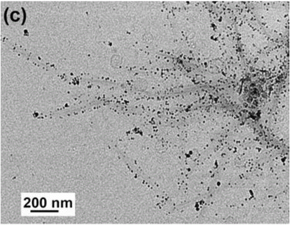 新型金纳米颗粒修饰二氧化硅纳米片催化剂的制备方法与流程
