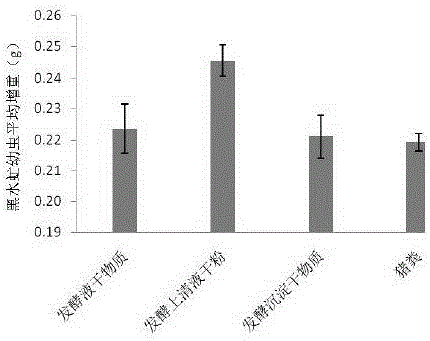 废弃羽毛发酵产物在制备黑水虻饲料中的应用的制作方法与工艺