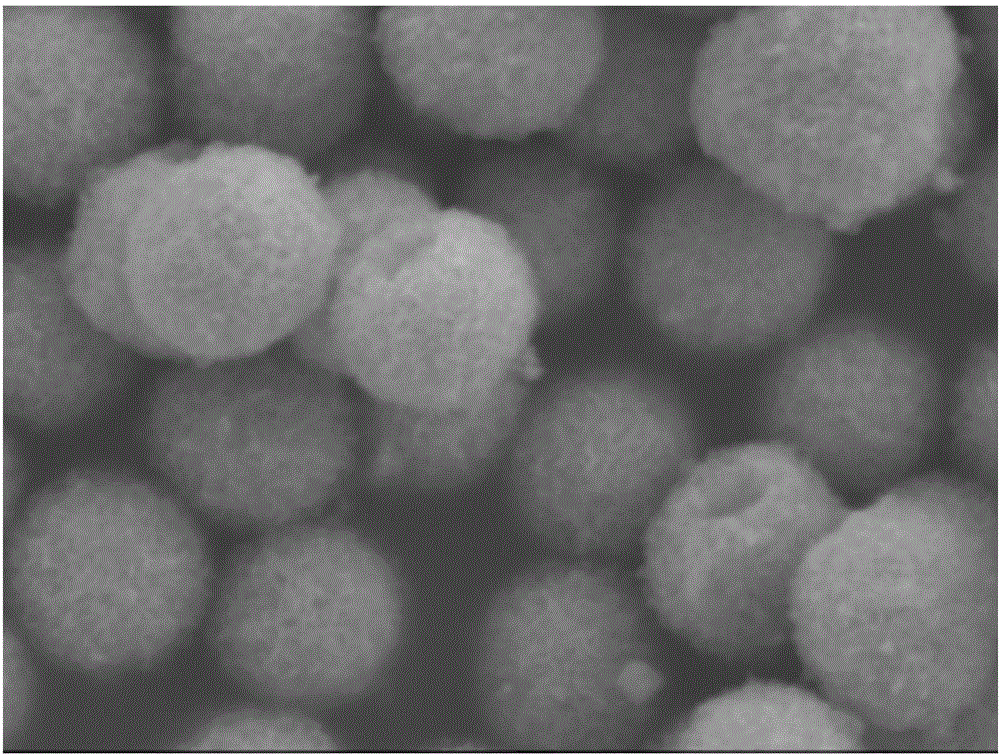 一种制备单分散TiO2微球纳米粉体的方法与流程