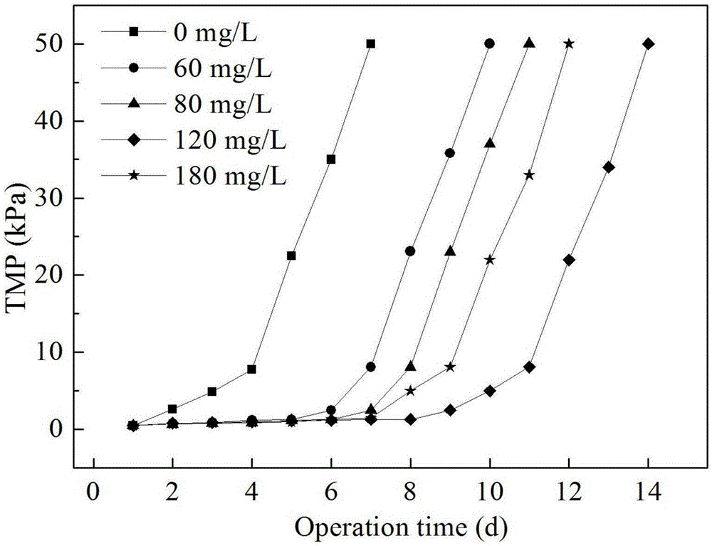 一種利用Fe3O4/C減緩MBR膜污染的方法與流程