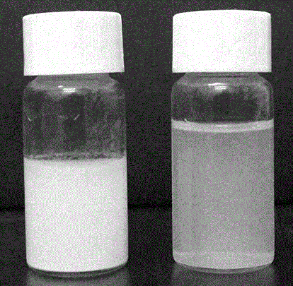 一种酸溶型壳聚糖铋及其制备方法和应用与流程
