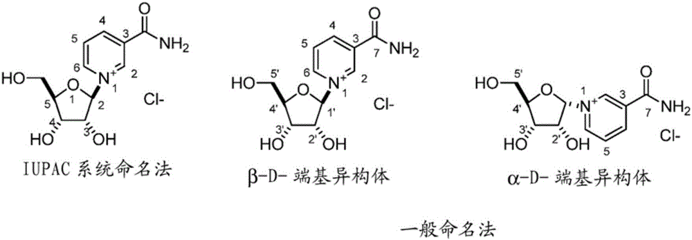 结晶的β‑D‑烟酰胺核苷的制备和用途的制作方法与工艺