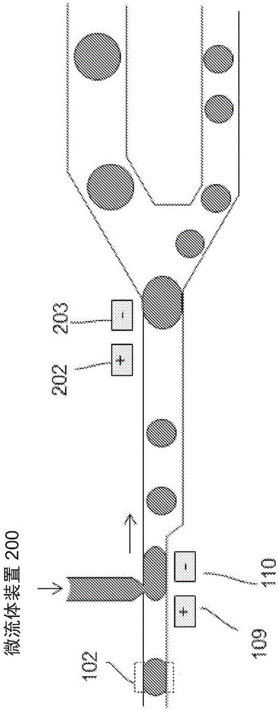 尺寸交替的注入到液滴中以促進(jìn)分選的制作方法與工藝