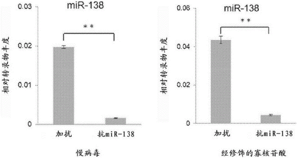 经修饰的抗MIR‑138寡聚核苷酸的制作方法与工艺