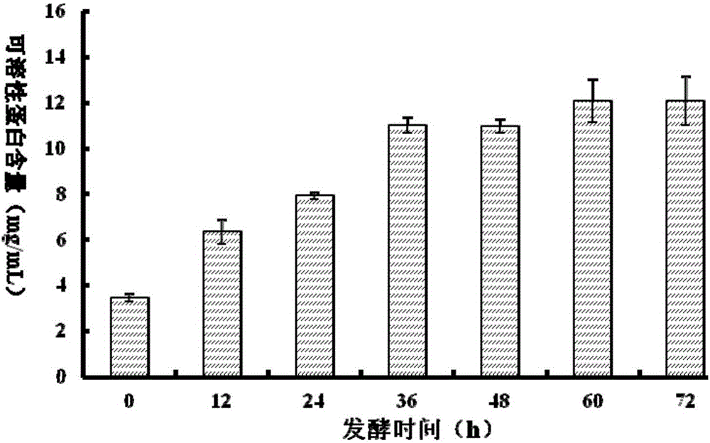 一种具有降压抗凝血功能的海参卵发酵产物的制备方法与流程