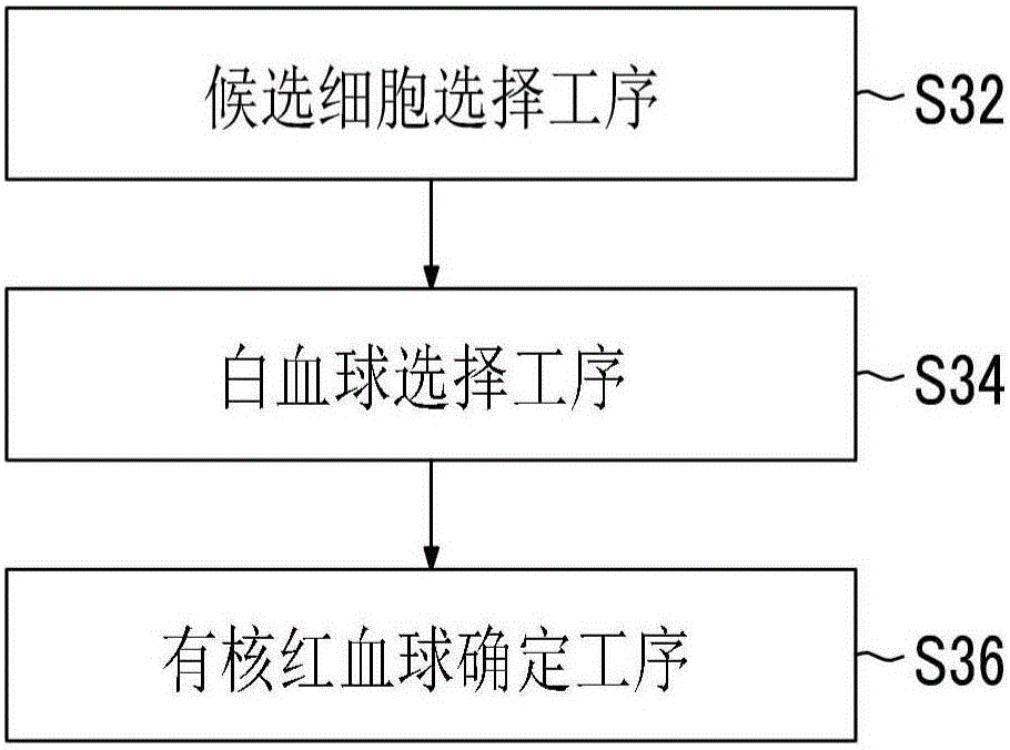 有核紅血球的分選方法與流程