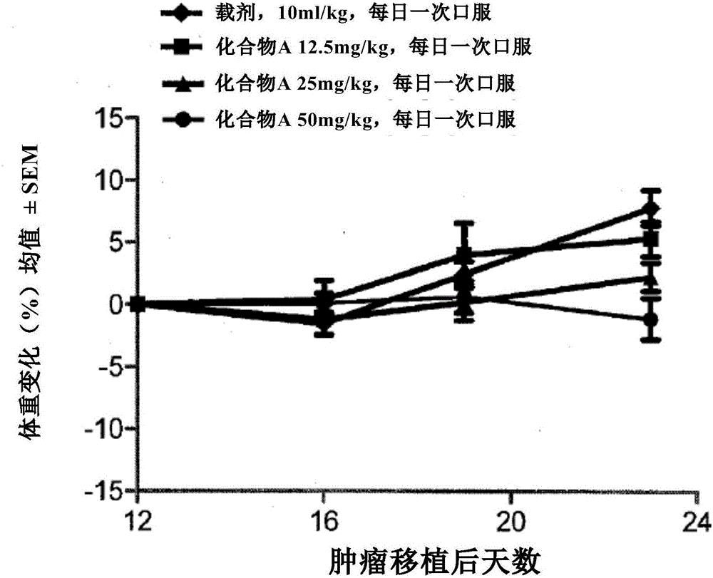 用于治療增生性疾病的2?甲酰胺環(huán)氨基尿素衍生物與Hsp90抑制劑的組合的制作方法與工藝