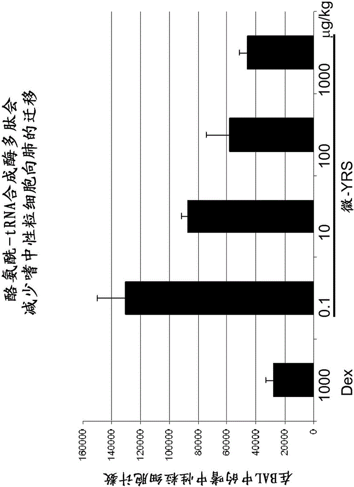 用于調節(jié)炎癥的氨酰tRNA合成酶的制作方法與工藝