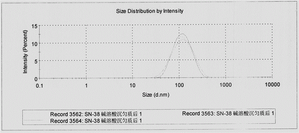 一種喜樹堿類藥物的納米晶及其制備方法與流程