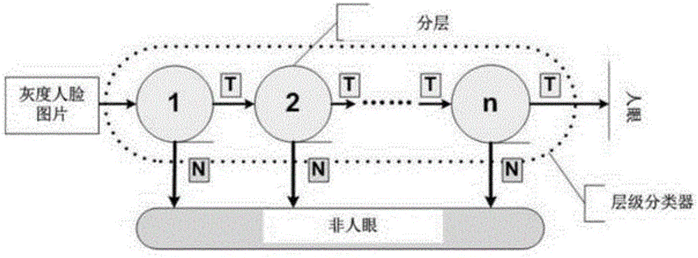 一種基于灰度和深度信息的三維人臉重建方法與流程