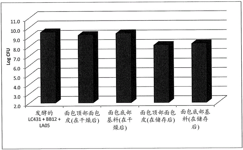 益生菌强化的食物产品和制造方法与流程