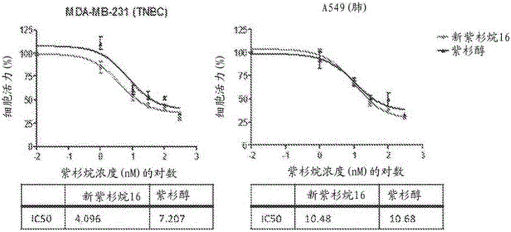 超分子組合治療藥物的制作方法與工藝