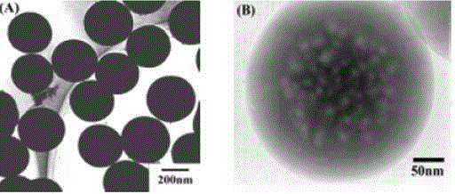 一种具有核/壳型复合结构的纳米微球制备方法与流程