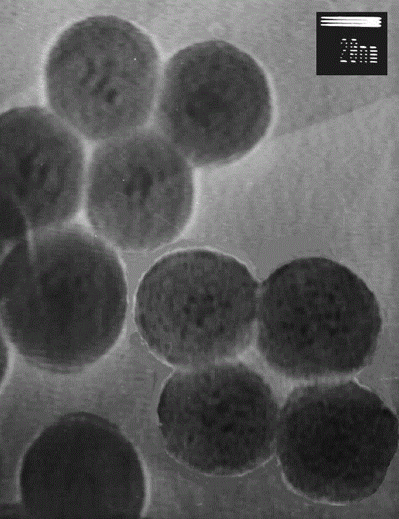 具有生物活性的高荧光效率稀土配合物纳米粒子的制备方法与流程