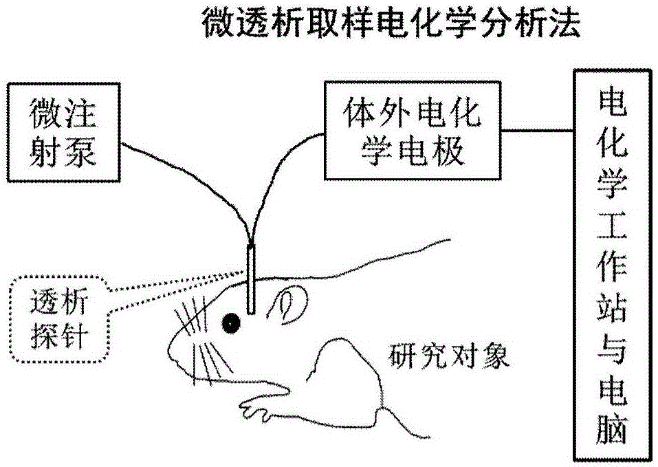 電化學檢測系統的制作方法與工藝