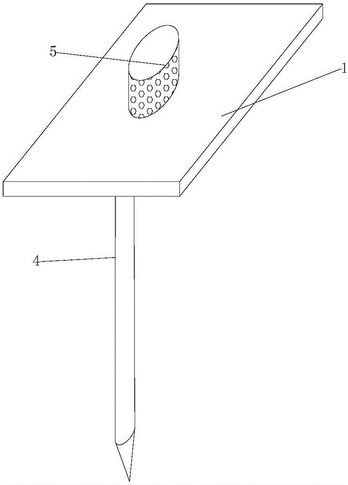 蟑螂粘板的制作方法与工艺