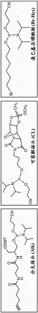 用于原位合成探針陣列的探針倒轉(zhuǎn)方法與流程