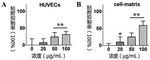 人参皂苷RO在制备肿瘤转移预防药物中的应用的制作方法与工艺