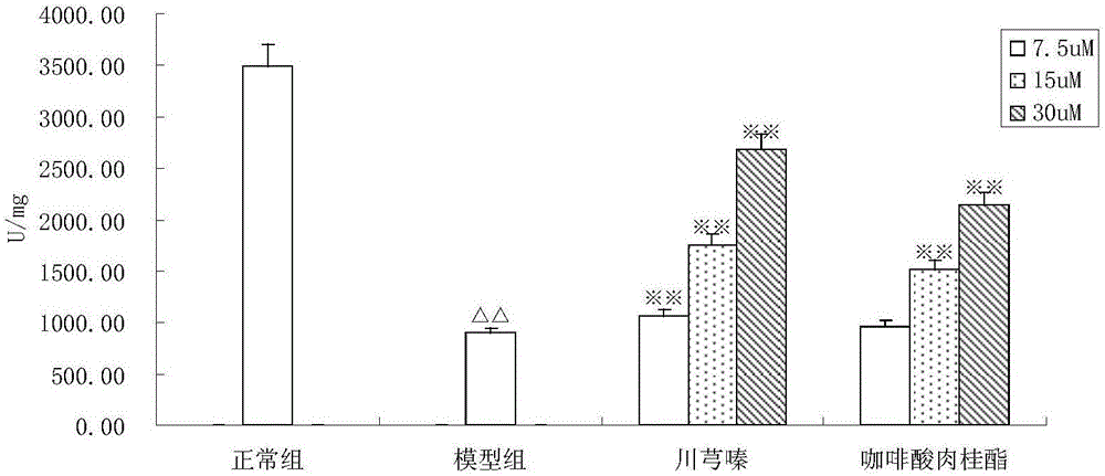 咖啡酸肉桂酯在制备预防或治疗脑缺血性损伤的药物、保健品或食品中的应用的制作方法与工艺