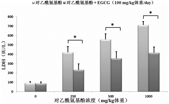 EGCG在制備防治藥物性肝損傷藥品及保健品中的應(yīng)用的制作方法與工藝