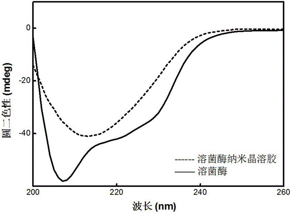 溶菌酶納米晶溶膠及采用其制備的蛋白質多晶水凝膠和制備方法與流程