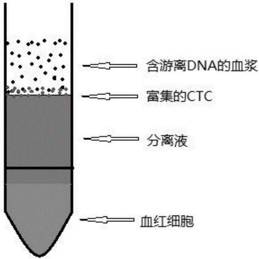 同时提取循环肿瘤细胞DNA和肿瘤游离DNA的试剂盒的制作方法与工艺