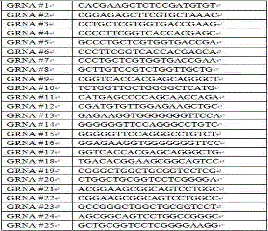 CRISPR/Cas9 靶向敲除人PD?1基因及其特異性gRNA的制作方法與工藝