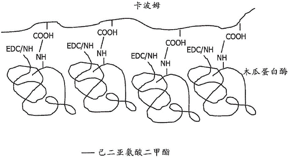 用于皮肤护理中的稳定化蛋白酶的制作方法与工艺