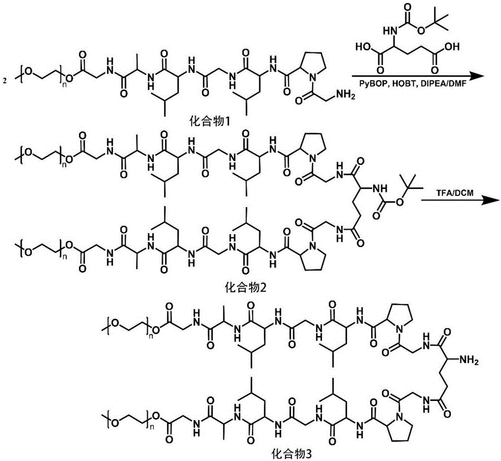 一種逐級響應(yīng)納米自組裝樹枝狀前藥及制備方法和應(yīng)用與流程