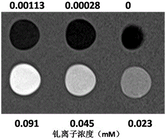 一類含釓的MRI造影劑及其制備方法與流程