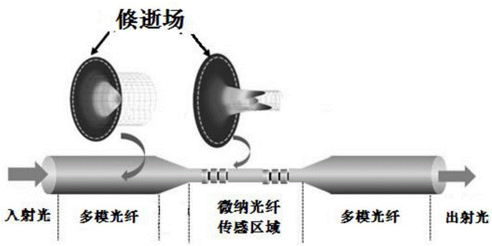 一種微納光纖光聲檢測裝置及其檢測方法與流程