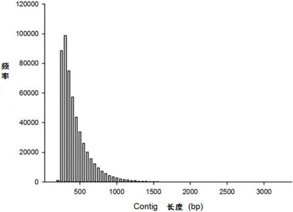 烏鱧雄性分子標(biāo)記引物及應(yīng)用的制作方法與工藝