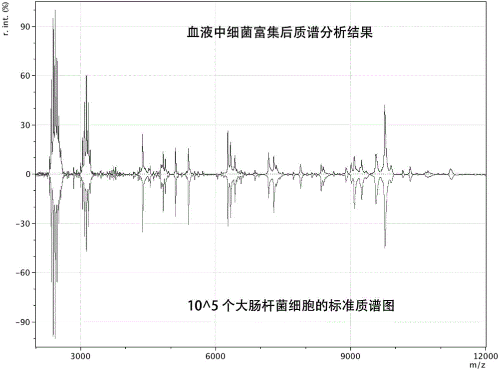 快速準確鑒定樣品中微生物的方法與流程