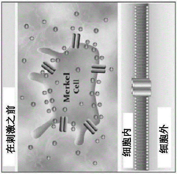 觸覺(jué)傳感器和用于制造其的方法與流程