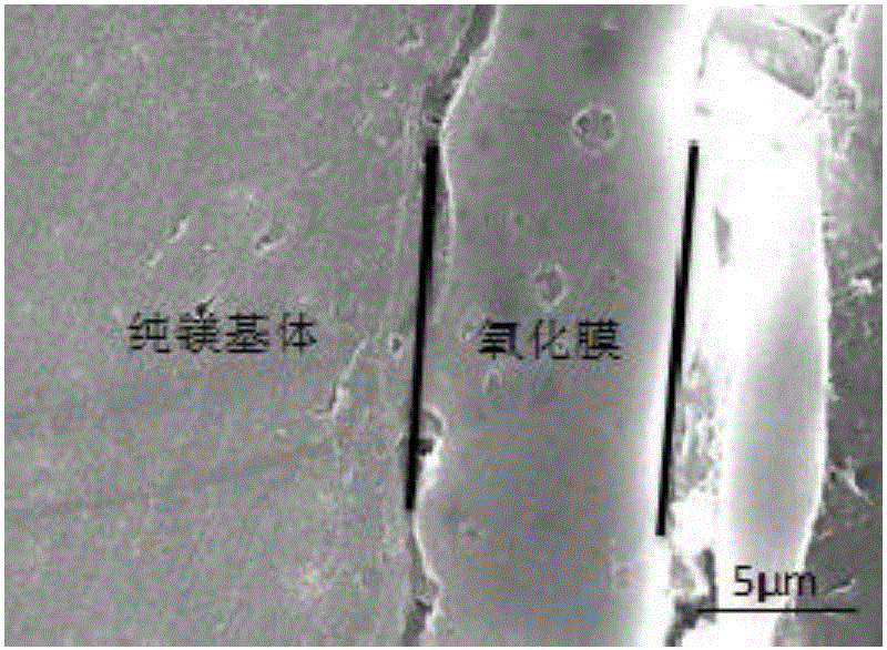 一种镁金属表面抗菌防霉耐腐蚀膜层的制备方法与流程
